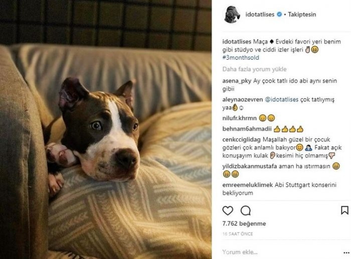Ünlülerin Instagram paylaşımları (11.12.2017)
