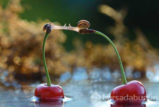 Günün en çok paylaşılan fotoğrafları