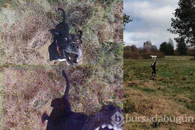 Günün en çok paylaşılan fotoğrafları