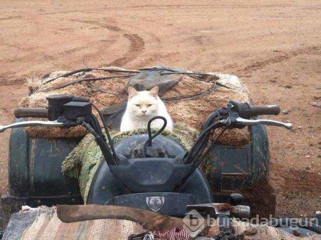 Günün en çok paylaşılan fotoğrafları