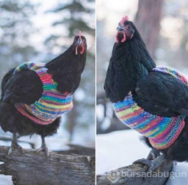 Günün en çok paylaşılan fotoğrafları