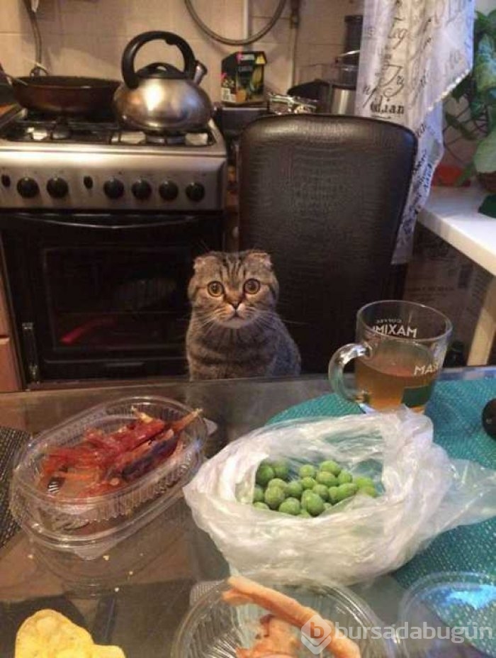Günün en çok paylaşılan fotoğrafları