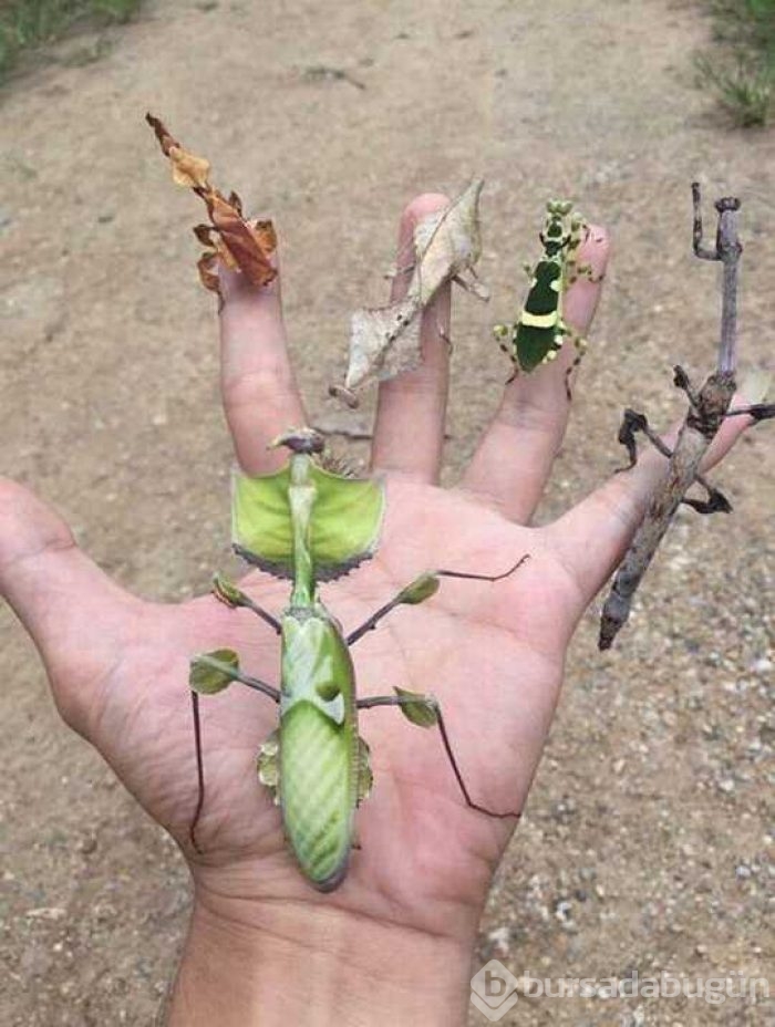 Günün en çok paylaşılan fotoğrafları