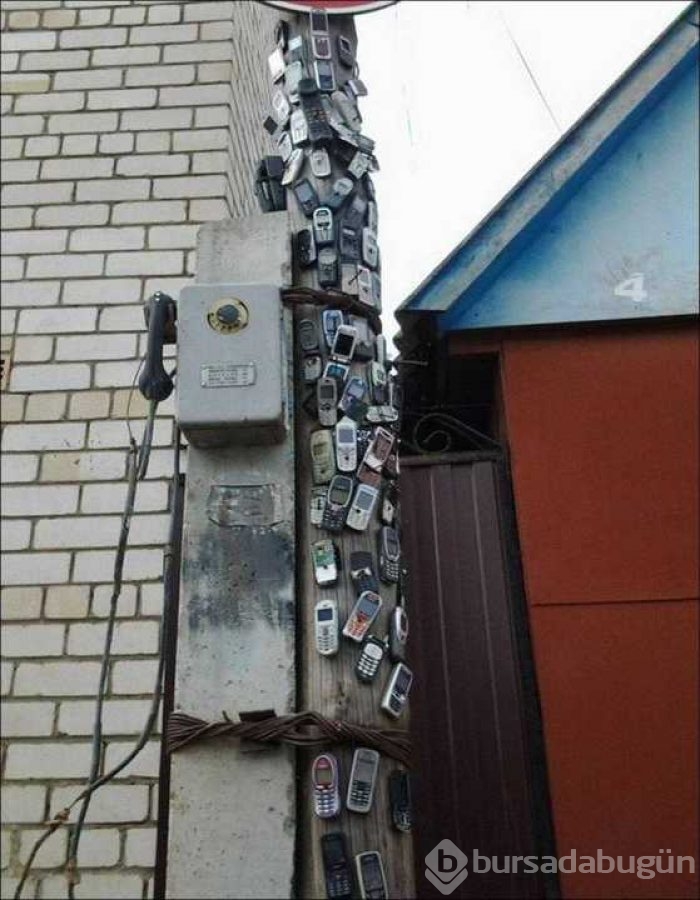 Günün en çok paylaşılan fotoğrafları