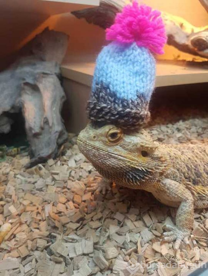 Günün en çok paylaşılan fotoğrafları