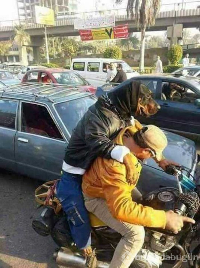 Günün en çok paylaşılan fotoğrafları