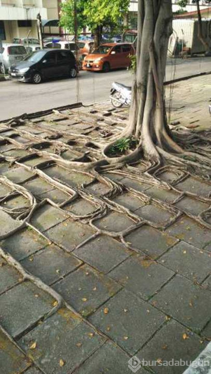 Günün en çok paylaşılan fotoğrafları