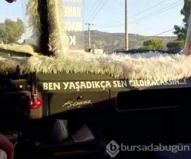 En komik araç yazıları