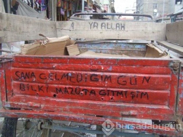 En komik araç yazıları