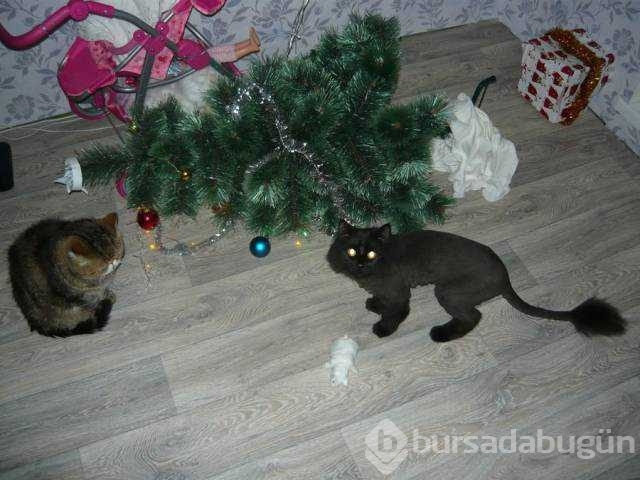 Günün en çok paylaşılan fotoğrafları
