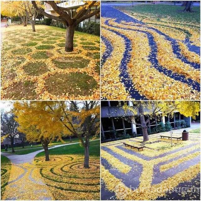 Günün en çok paylaşılan fotoğrafları
