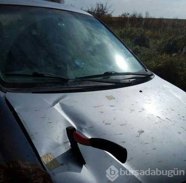 Günün en çok paylaşılan fotoğrafları
