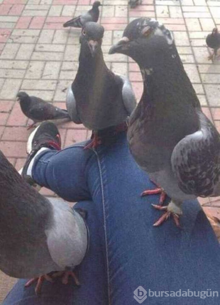 Günün en çok paylaşılan fotoğrafları
