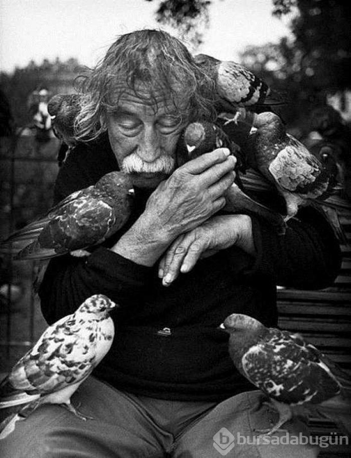 Günün en çok paylaşılan fotoğrafları
