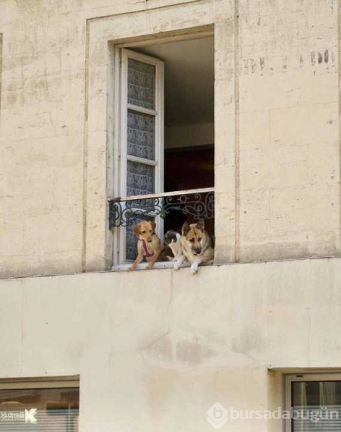 Günün en çok paylaşılan fotoğrafları
