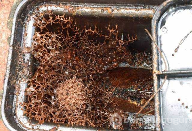 Günün en çok paylaşılan fotoğrafları
