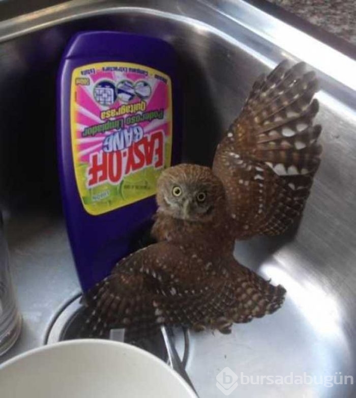 Günün en çok paylaşılan fotoğrafları
