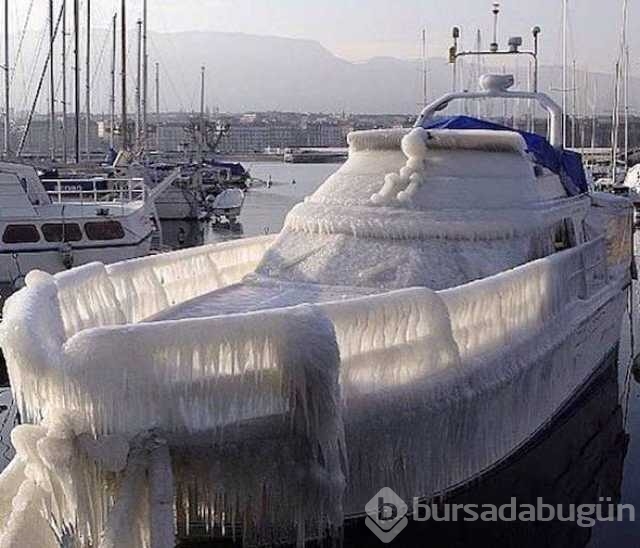 Günün en çok paylaşılan fotoğrafları
