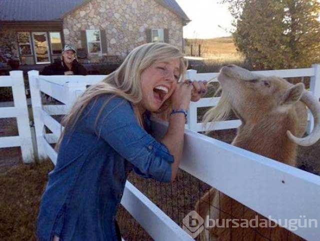 Günün en çok paylaşılan fotoğrafları
