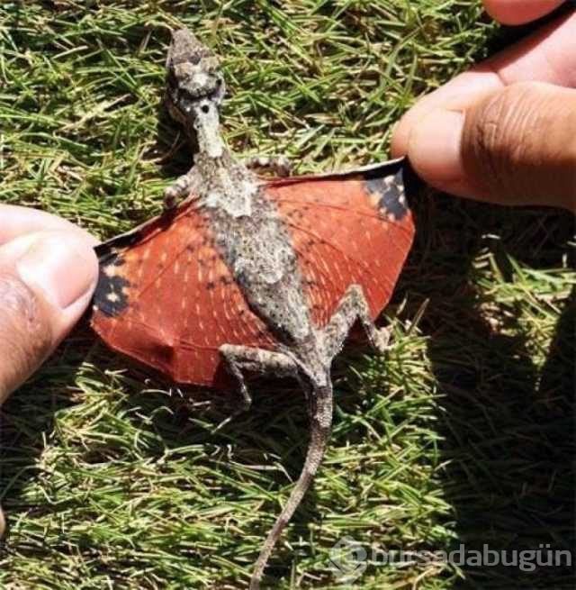 Günün en çok paylaşılan fotoğrafları
