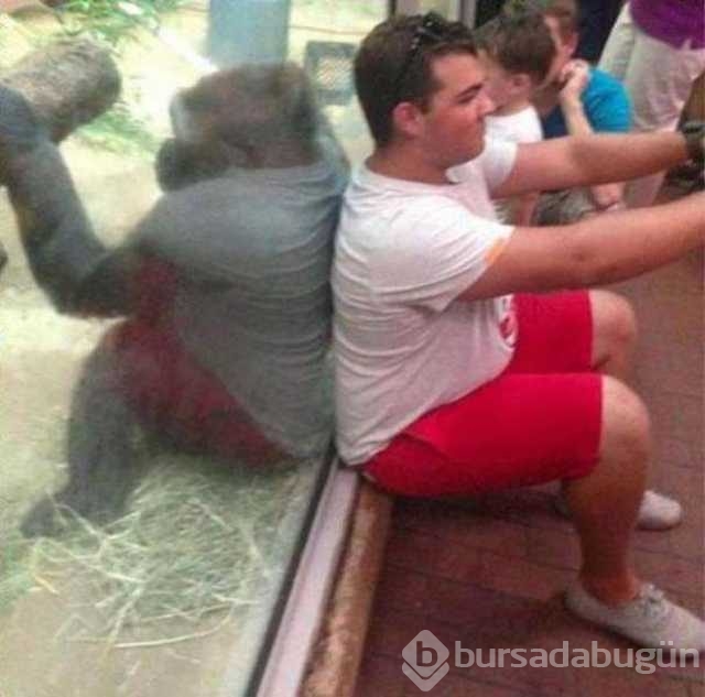 Günün en çok paylaşılan fotoğrafları
