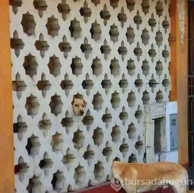 Günün en çok paylaşılan fotoğrafları
