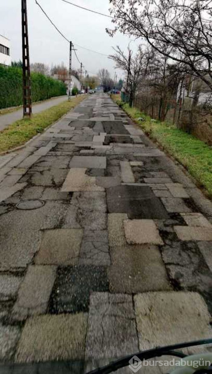 Günün en çok paylaşılan fotoğrafları
