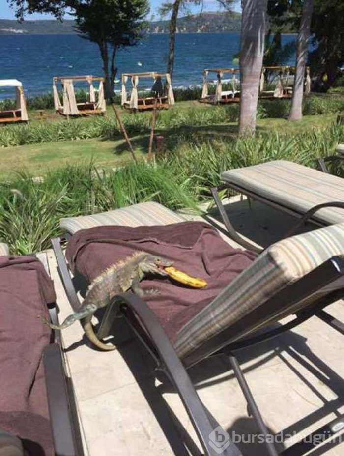 Günün en çok paylaşılan fotoğrafları
