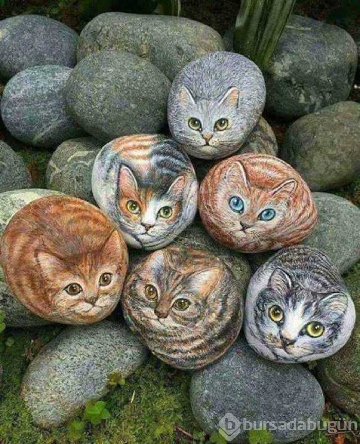 Günün en çok paylaşılan fotoğrafları

