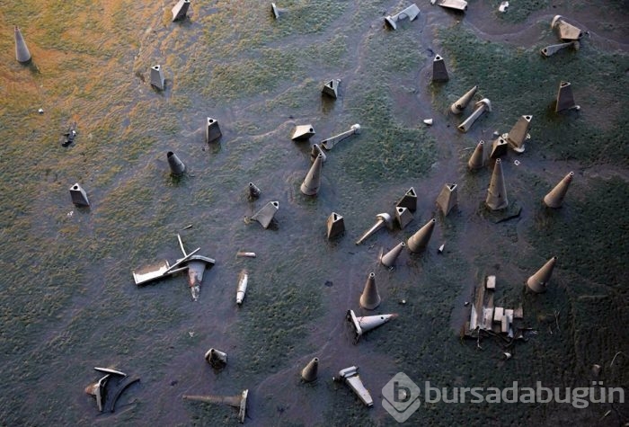 Yılın fotoğrafları