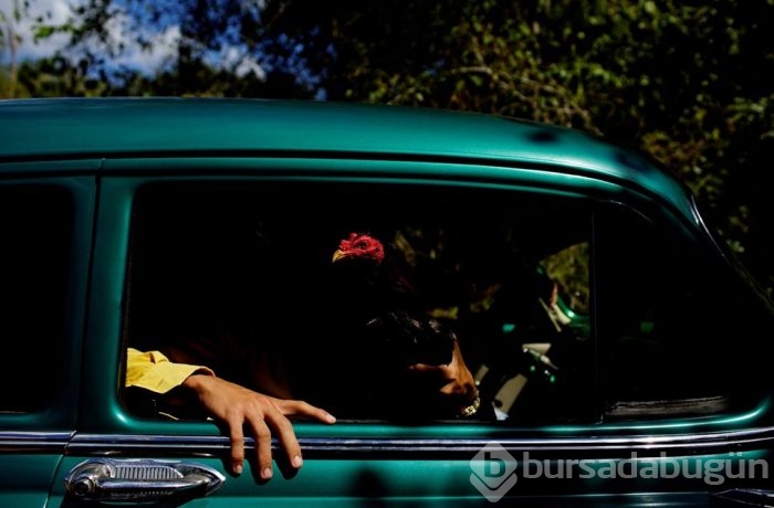 Yılın fotoğrafları