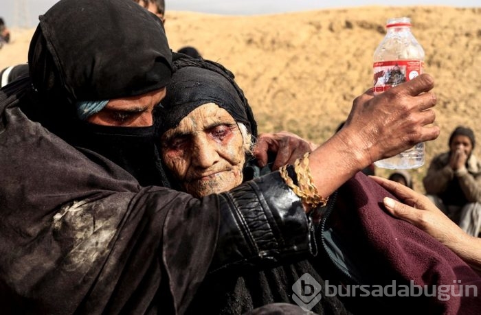 Yılın fotoğrafları