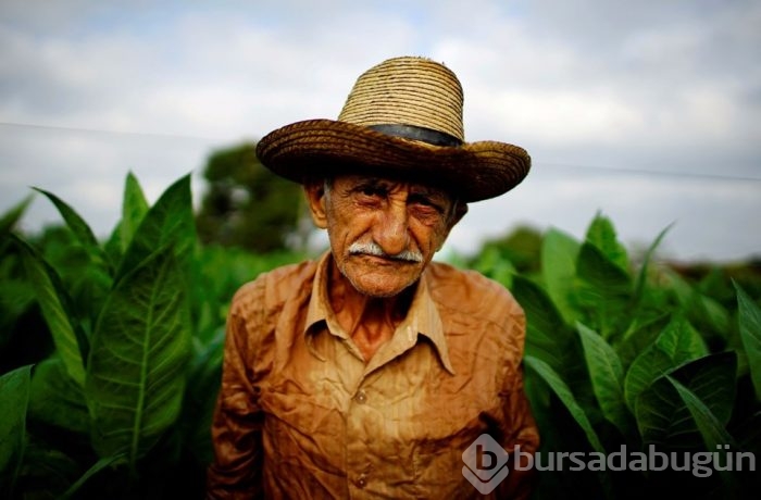 Yılın fotoğrafları
