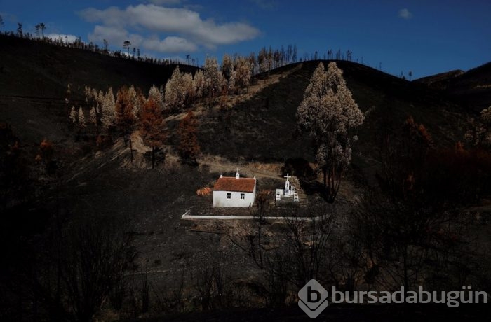 Yılın fotoğrafları