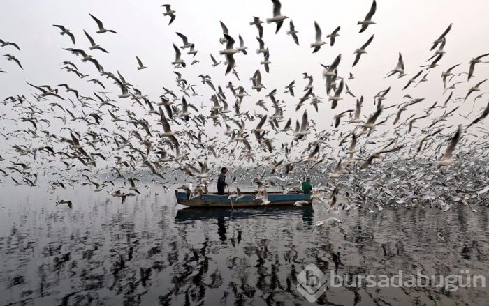 Yılın fotoğrafları