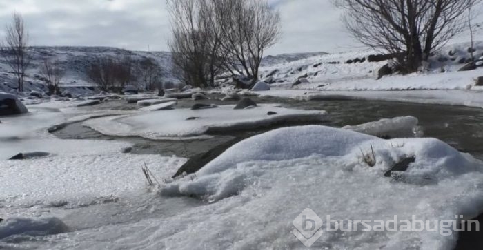 Ağrı'da şelale ve dere buz tuttu