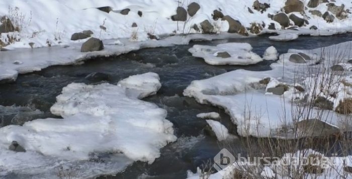 Ağrı'da şelale ve dere buz tuttu