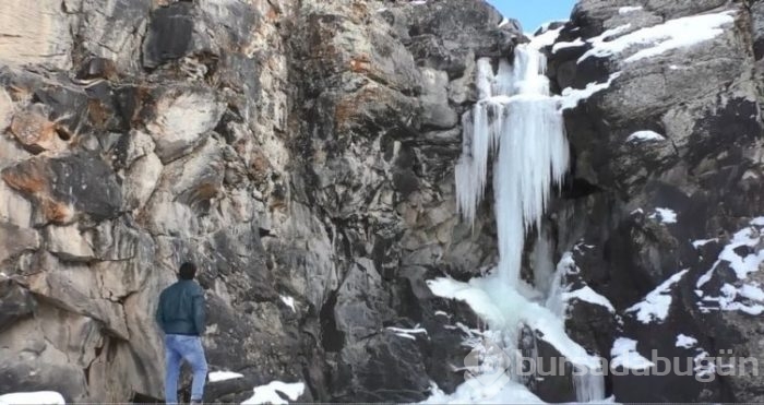 Ağrı'da şelale ve dere buz tuttu