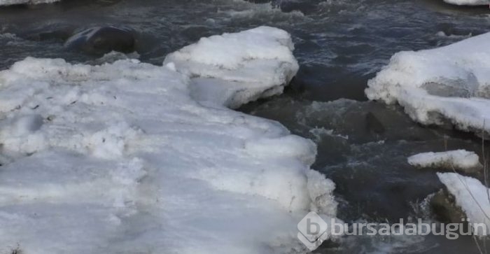 Ağrı'da şelale ve dere buz tuttu
