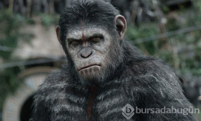 Filmlerin ve dizilerin ünlü sahnelerinin gerçek görüntüleri 