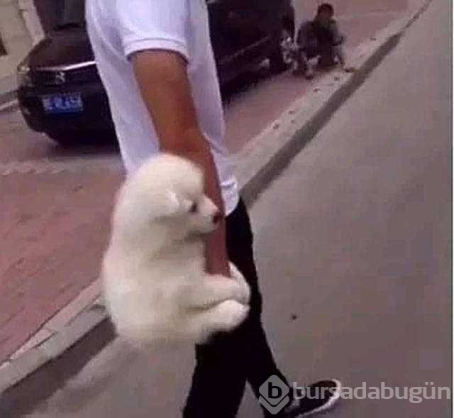 Günün en çok paylaşılan fotoğrafları