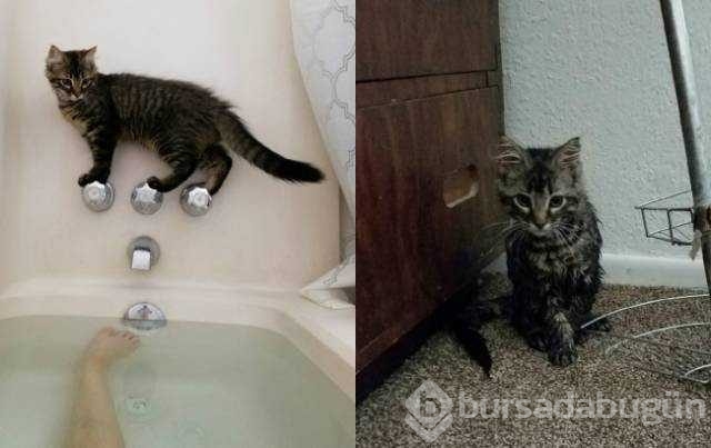 Günün en çok paylaşılan fotoğrafları