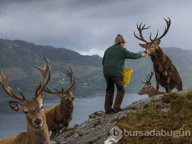 Günün en çok paylaşılan fotoğrafları