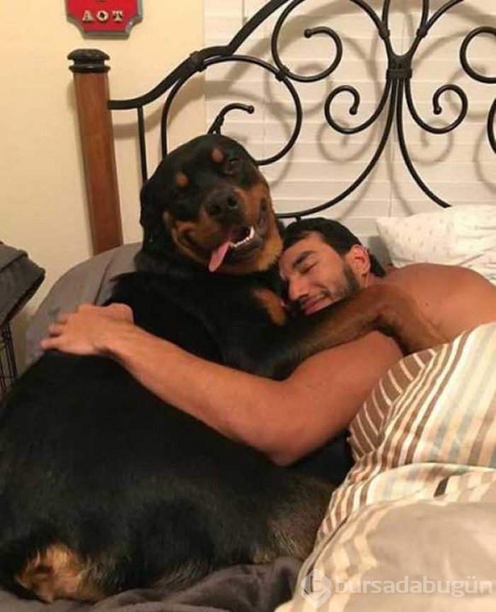 Günün en çok paylaşılan fotoğrafları