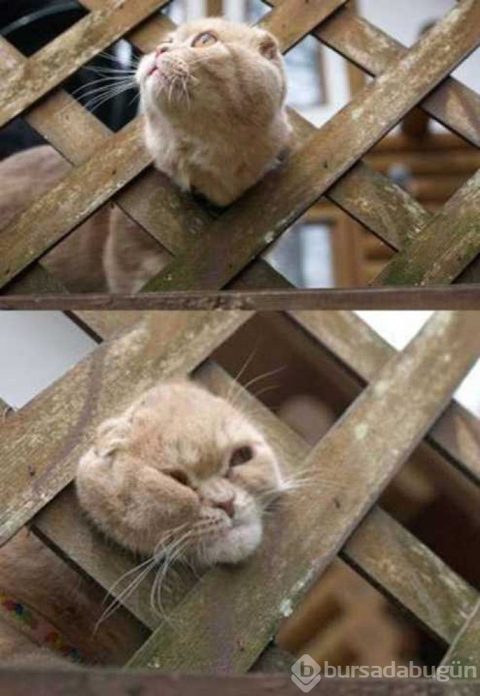 Günün en çok paylaşılan fotoğrafları