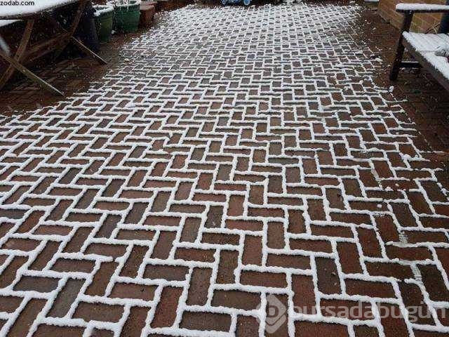 Günün en çok paylaşılan fotoğrafları