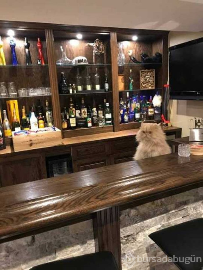Günün en çok paylaşılan fotoğrafları