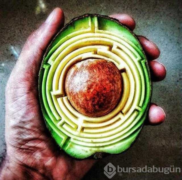 Günün en çok paylaşılan fotoğrafları