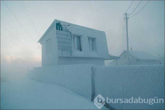 Günün en çok paylaşılan fotoğrafları