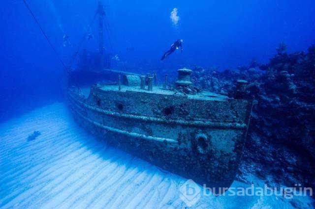 Günün en çok paylaşılan fotoğrafları
